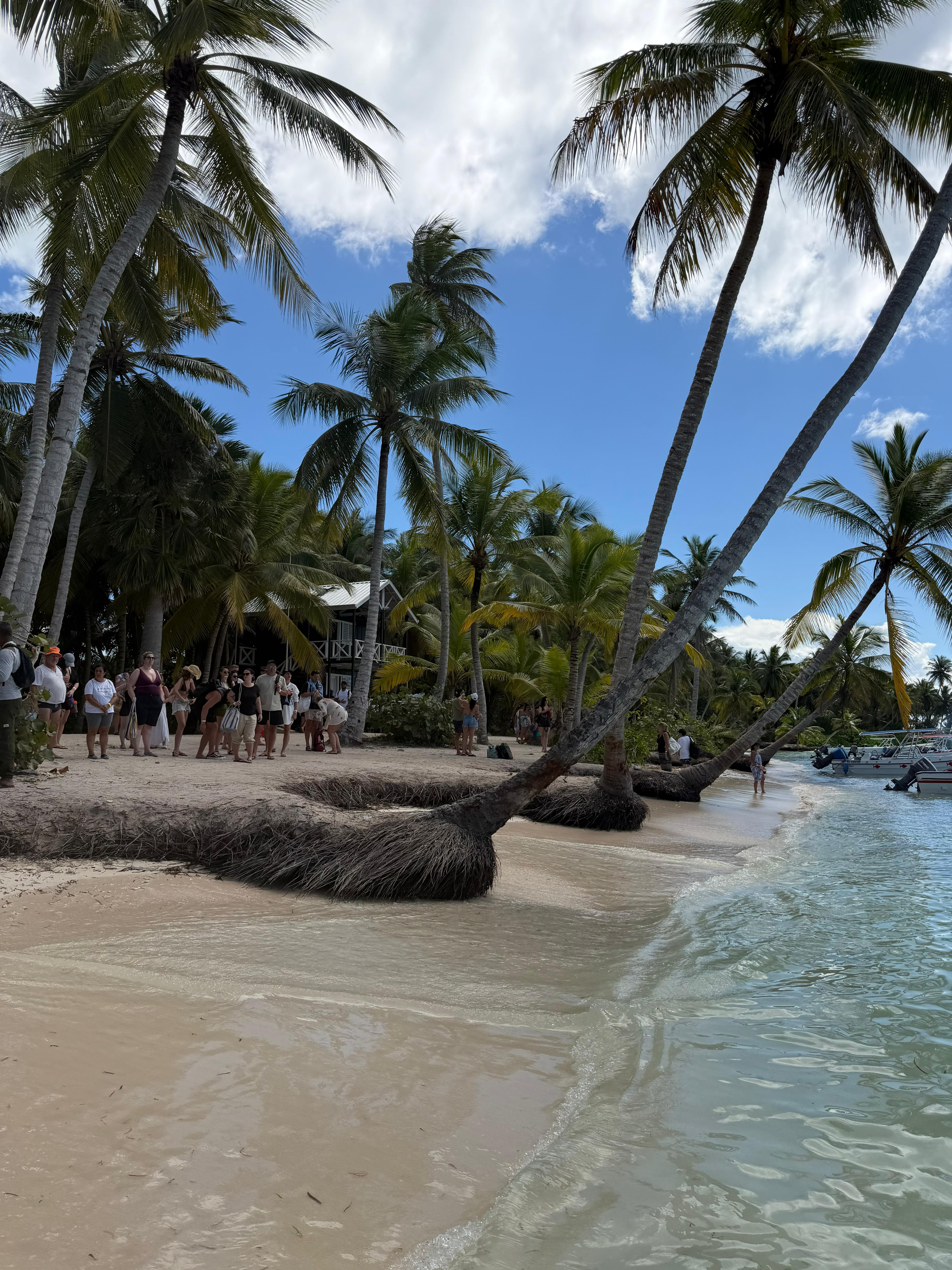 Saona-style excursion scenery